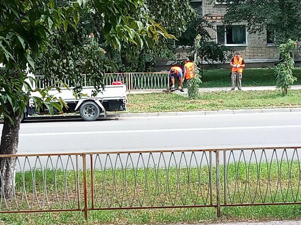 Благовещенцы обеспокоены: на одной из улиц областной столицы спиливают ограждение