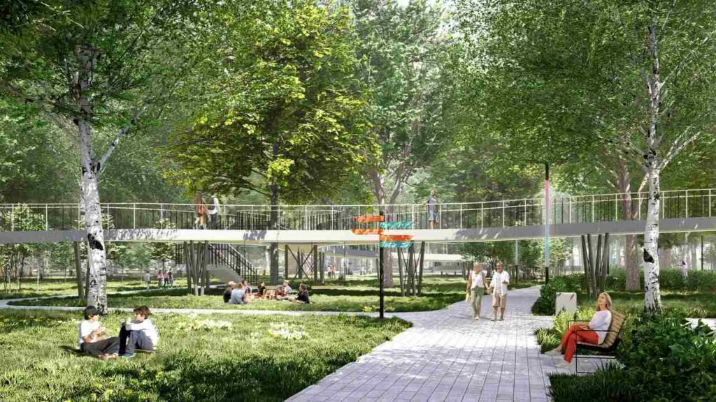 Проект "Амурский лес"