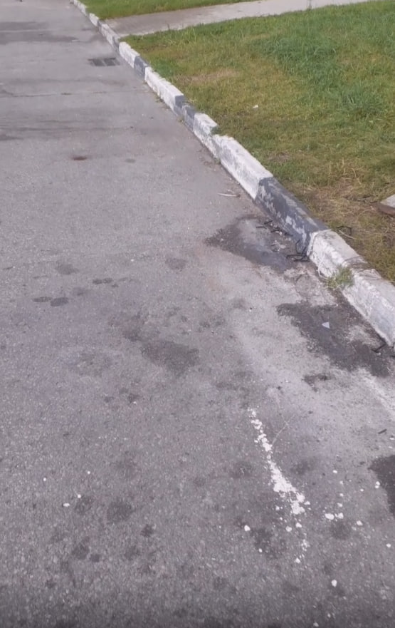 Дорога