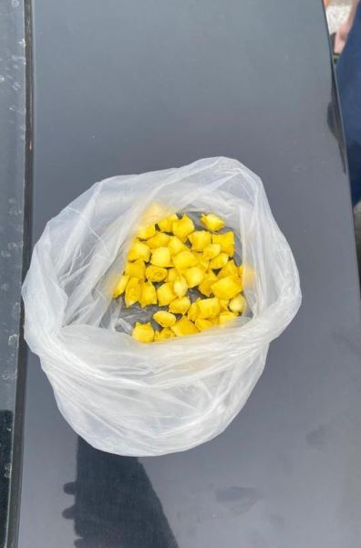 В Приамурье раскрыта деятельность преступной группировки из Узбекистана