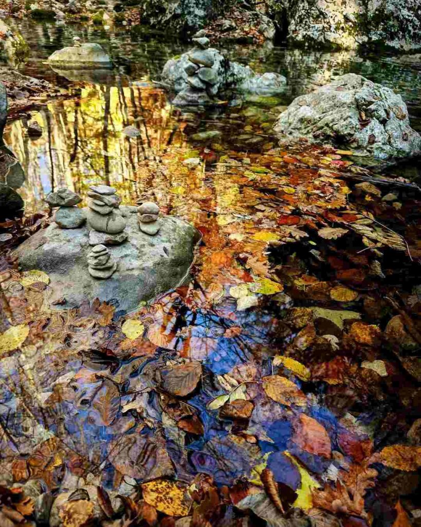 день осеннего равноденствия 2024, осеннее равноденствие, равноденствие, традиции осеннего равноденствия