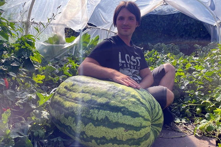 Житель Москвы вырастил тыкву весом 800 килограммов