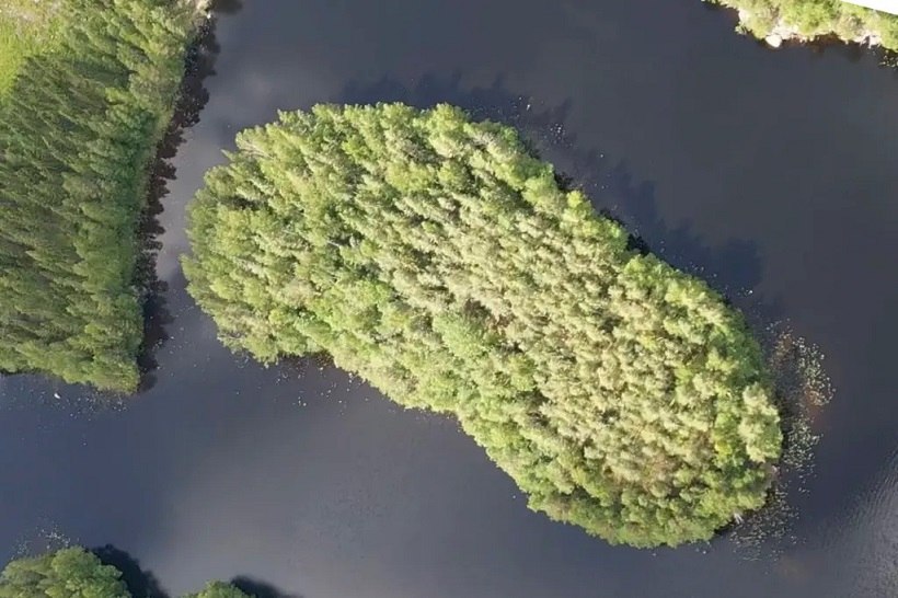 Пара студентов купила остров в Финляндии, потому что он оказался дешевле дома