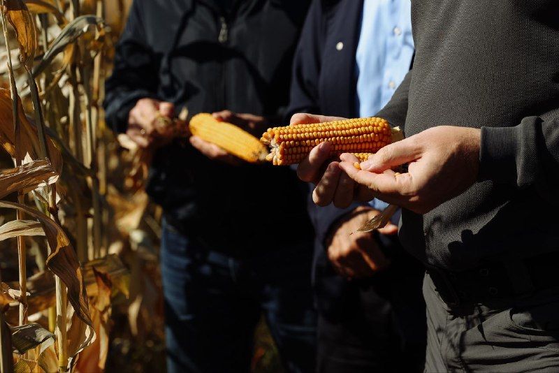 Василий Орлов высоко оценил современные технологии амурских фермеров