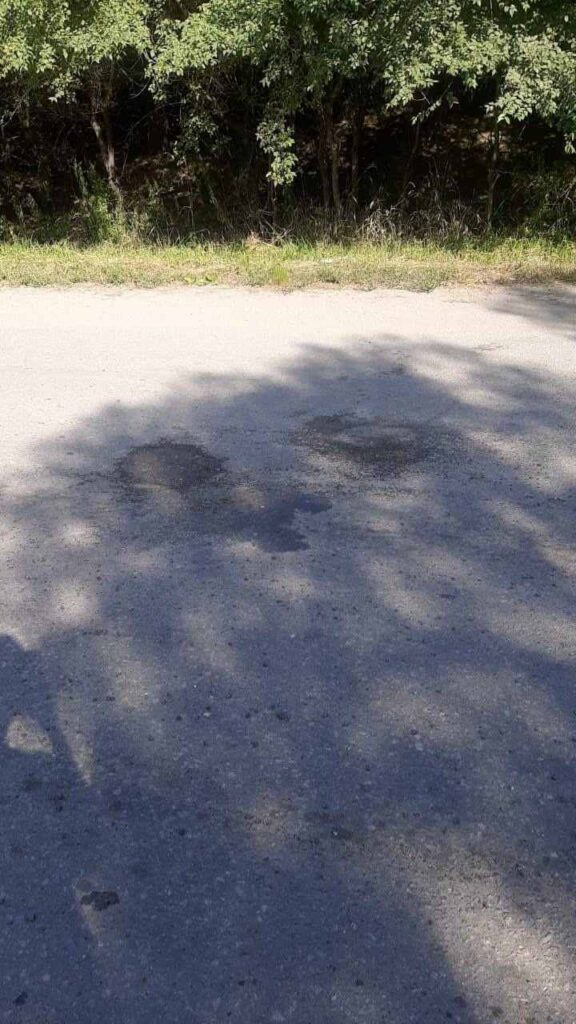 ремонт дороги «Моховая падь – Белогорье», прокуратура