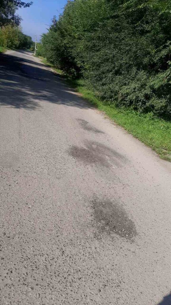 ремонт дороги «Моховая падь – Белогорье», прокуратура