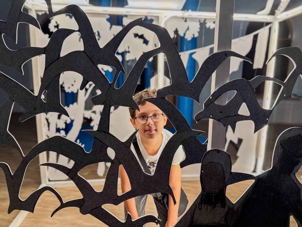 выставка «Синяя птица» МХТ, Амурский областной краеведческий музей