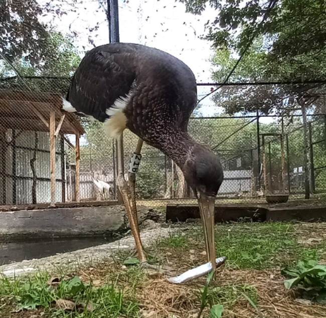 Фото: Антон Сасин