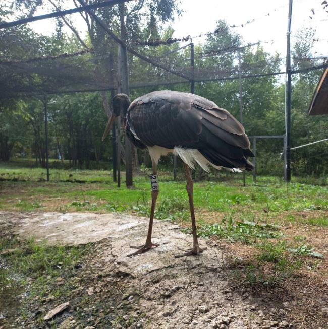 Фото: Антон Сасин