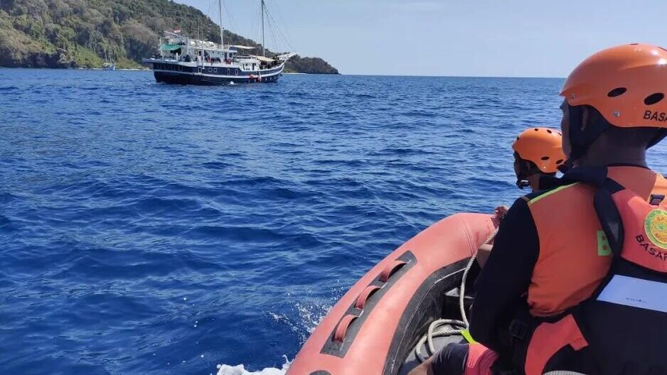 Пропавшую во время дайвинга американскую туристку нашли в желудке акулы