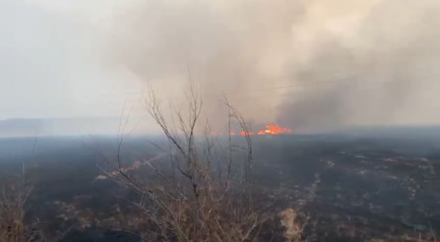 Почти 70 человек отбивали от огня два амурских села