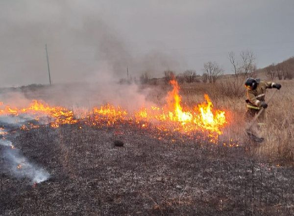 Почти 70 человек отбивали от огня два амурских села