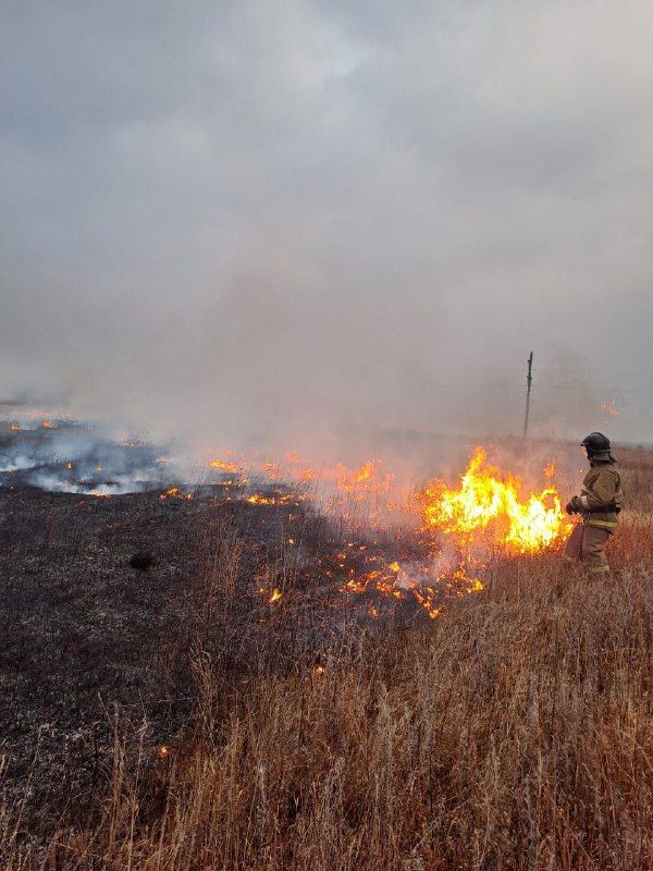 Почти 70 человек отбивали от огня два амурских села