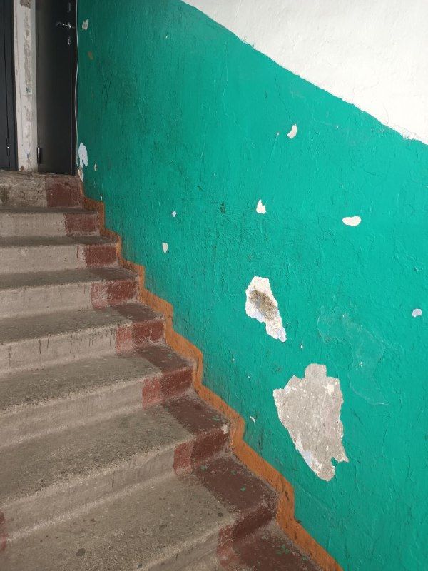 В Приамурье сельской «управляйке» дали полтора месяца, чтобы исправиться