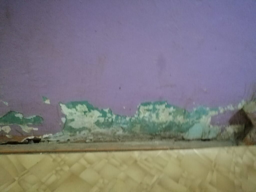 «От нас все отказались»: подъезд бывшего благовещенского общежития не видел ремонта уже 12 лет