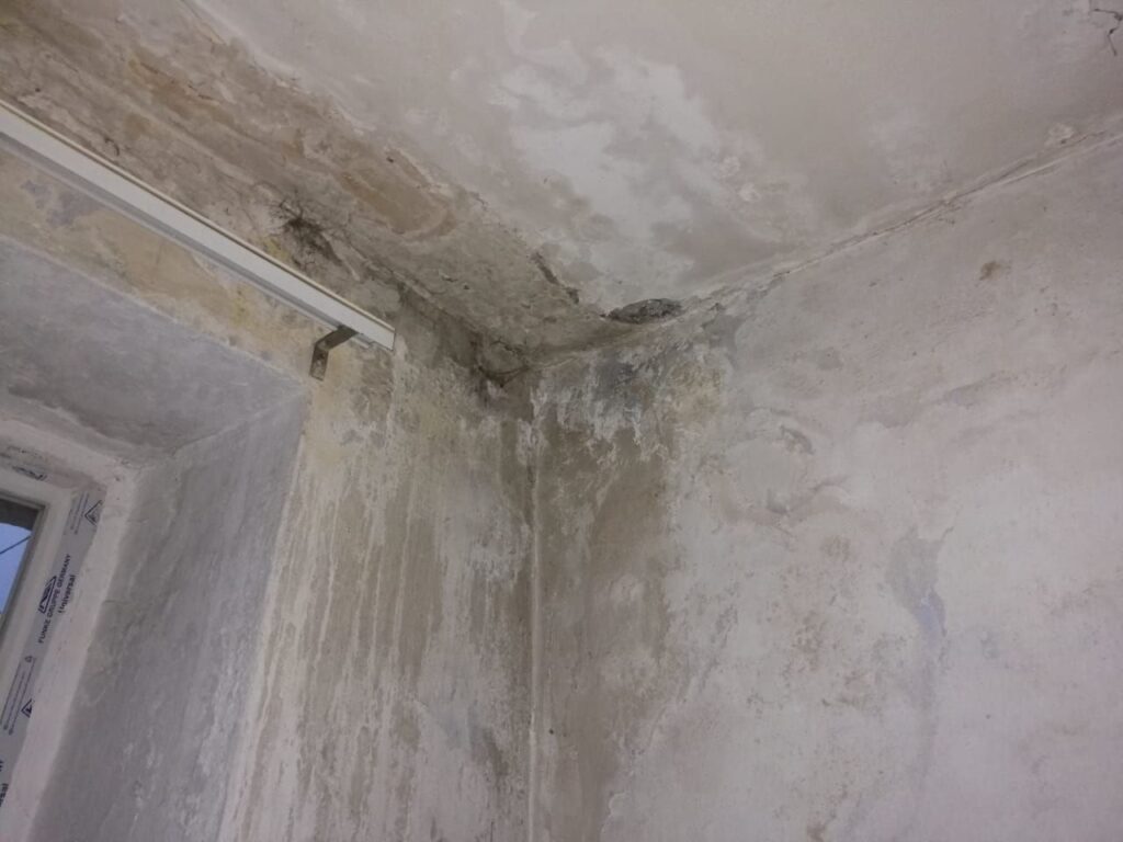 «От нас все отказались»: подъезд бывшего благовещенского общежития не видел ремонта уже 12 лет