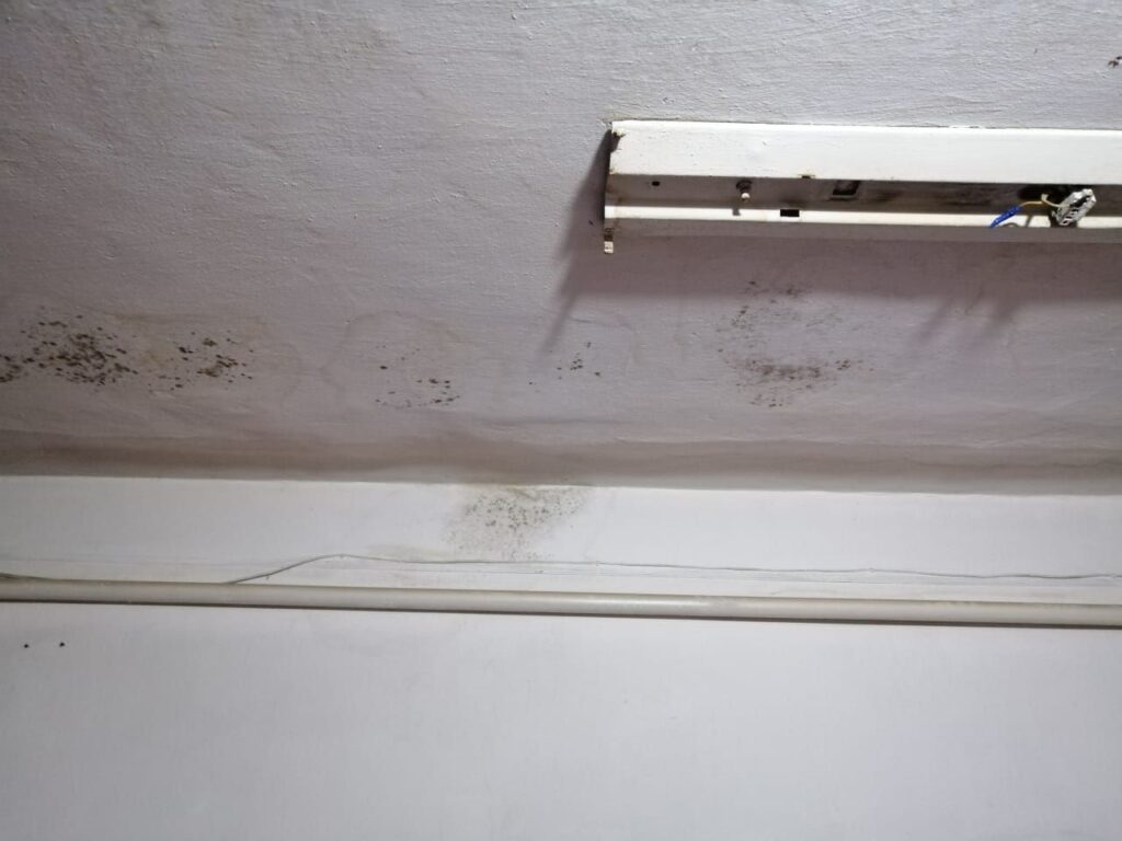 «От нас все отказались»: подъезд бывшего благовещенского общежития не видел ремонта уже 12 лет