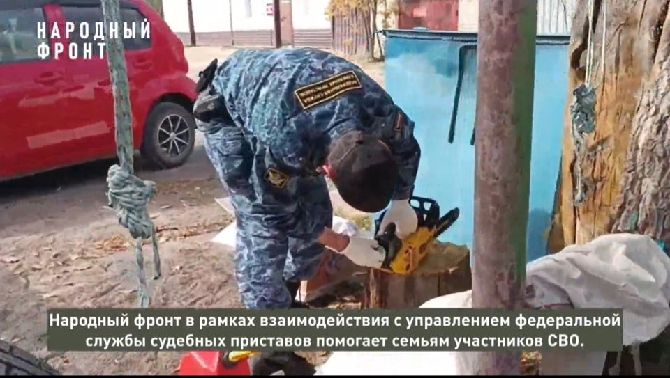 помощь семьям участников СВО, заготовка дров, Народный фронт