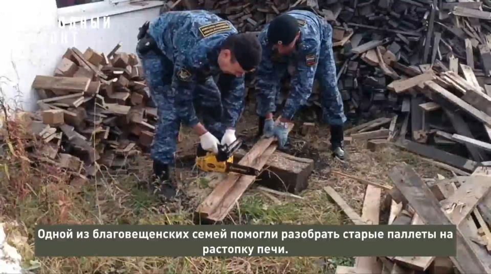 помощь семьям участников СВО, заготовка дров, Народный фронт