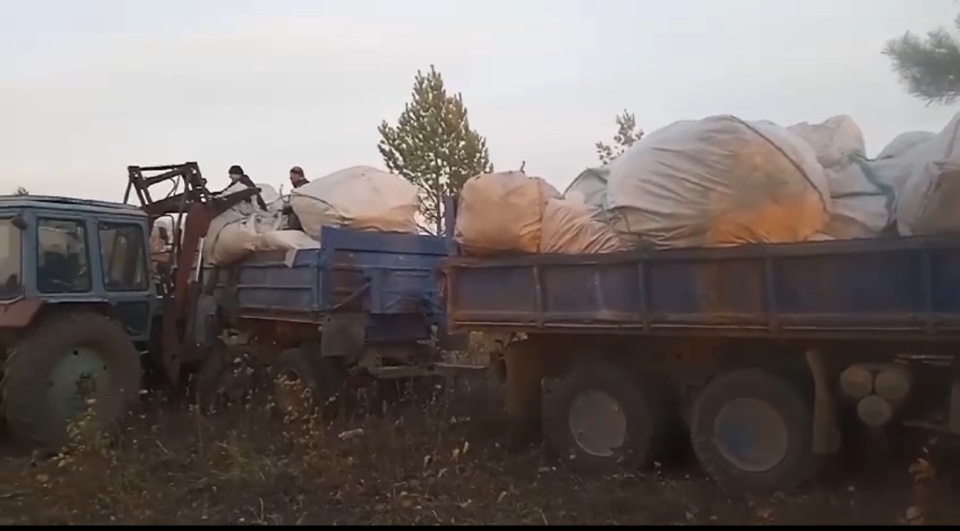 наркотики, конопля, Серышевский район, прокуратура