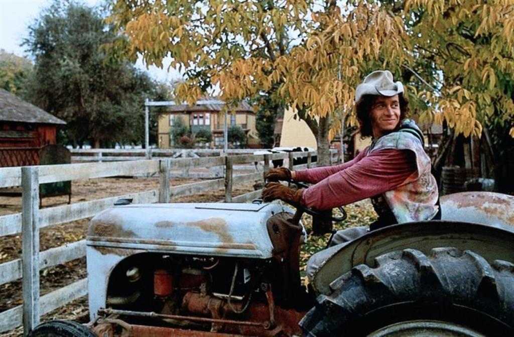 истории про тещу, истории про свекровь, смешные истории про тещу, реальные истории про свекровей, день тещи