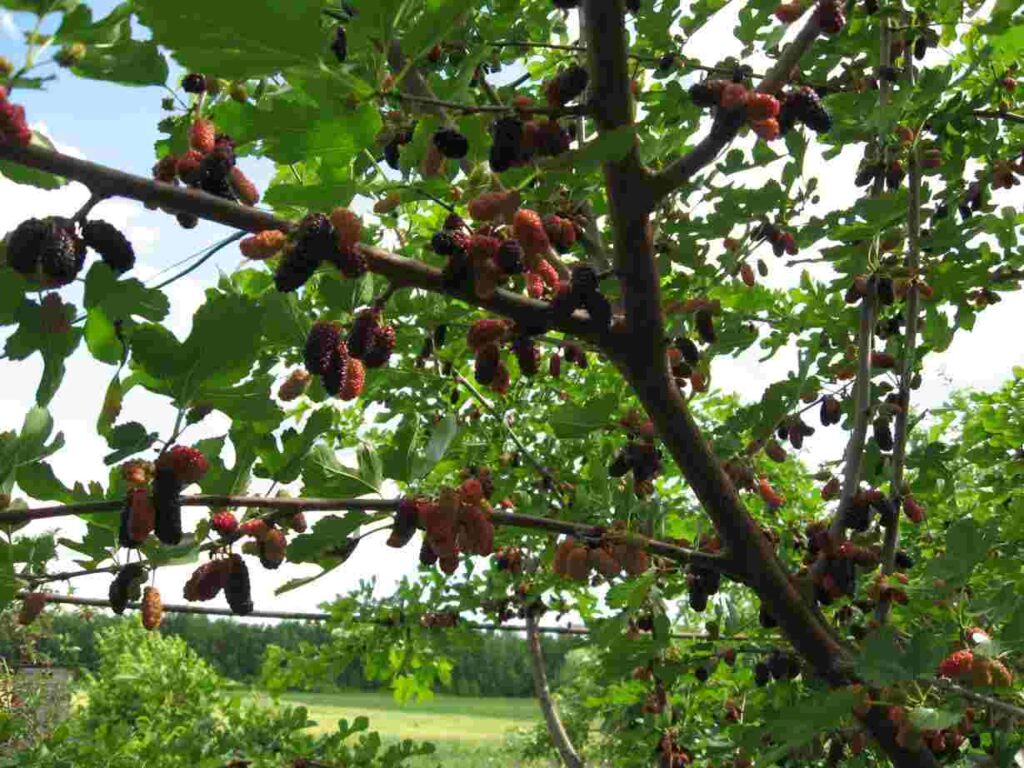 день матери, истории о мамах, истории материнства, истории про мам, материнство, какого быть мамой, мама
