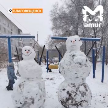 На любой вкус и цвет: Благовещенск испытал нашествие снеговиков
