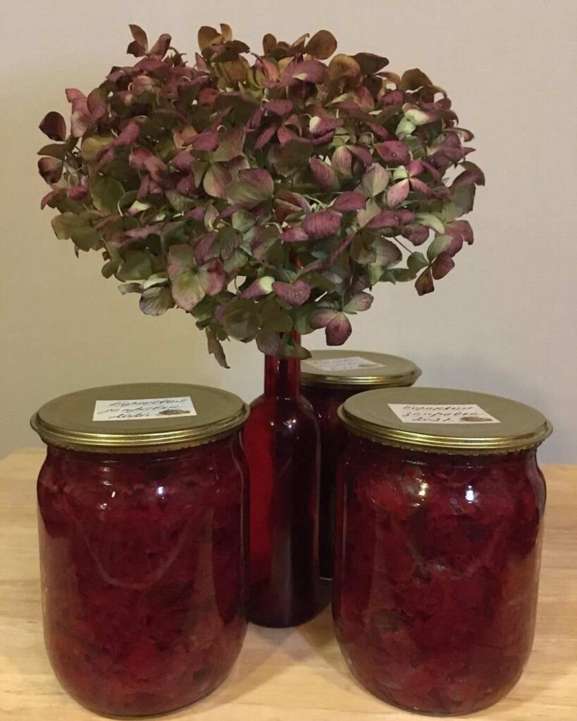 рецепт борща, борщ рецепт, борщ с мясом, борщ с фасолью, вкусный борщ, борщ с пампушками, рецепт пампушек, вегетарианский борщ