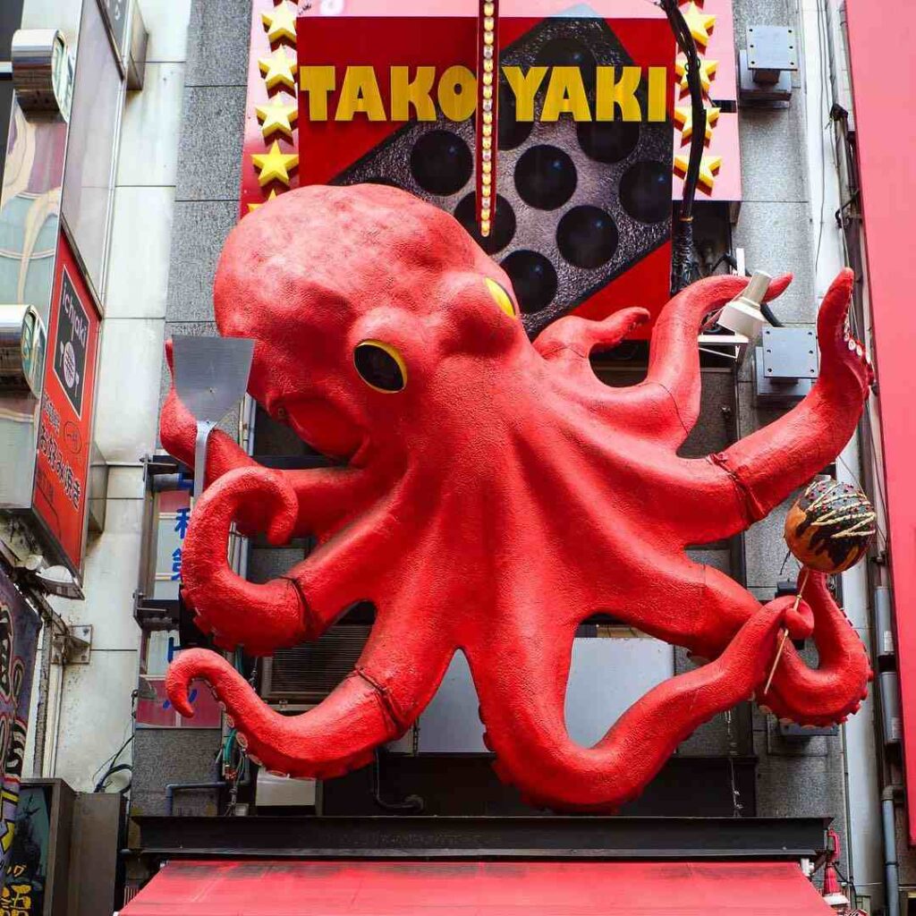 японская кухня, блюда японской кухни, рецепты японских блюд, рецепт такояки, такояки рецепт, японский бисквит