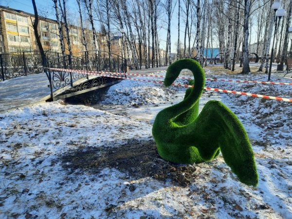 Среди снегов амурского парка появились вечнозеленые животные