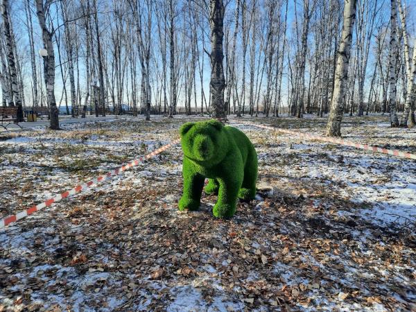 Среди снегов амурского парка появились вечнозеленые животные