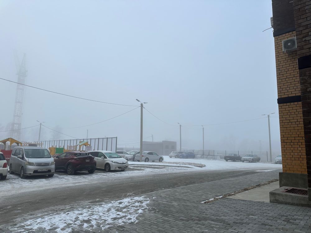 туман