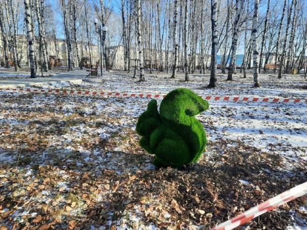 Среди снегов амурского парка появились вечнозеленые животные