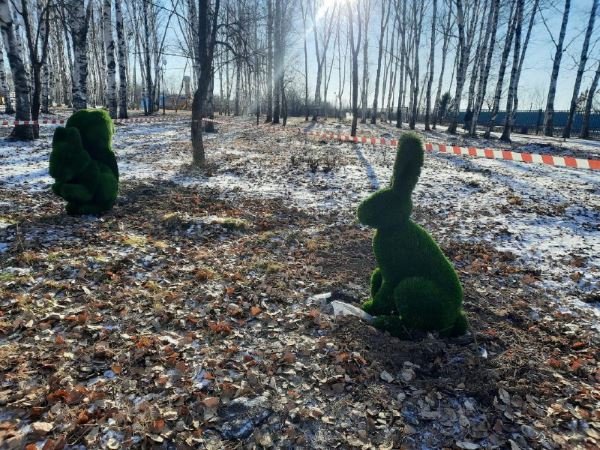 Среди снегов амурского парка появились вечнозеленые животные