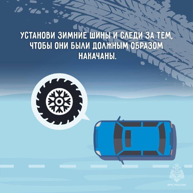 МЧС призывает амурчан «включить» режим «кошачий шаг»