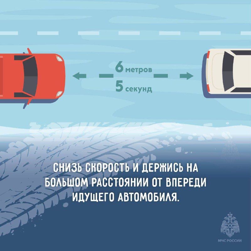 МЧС призывает амурчан «включить» режим «кошачий шаг»