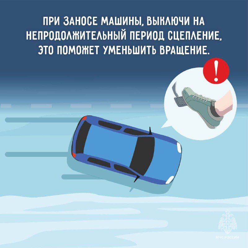 МЧС призывает амурчан «включить» режим «кошачий шаг»