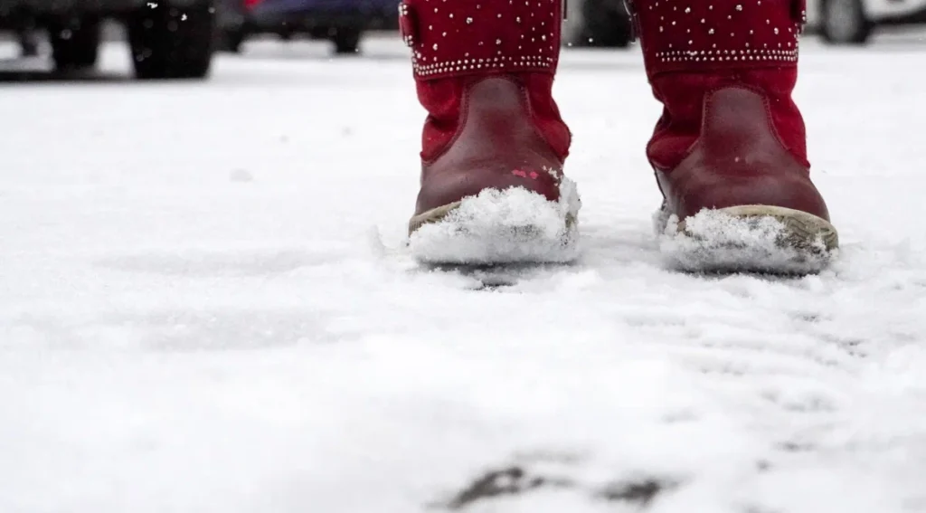 Погода на 29 ноября