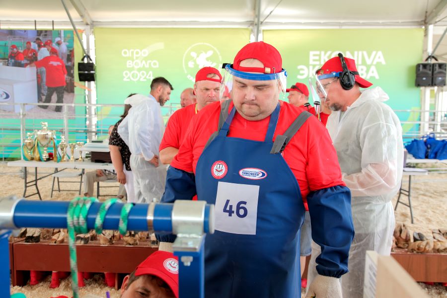 Фото: Национальный Союз обработчиков копыт