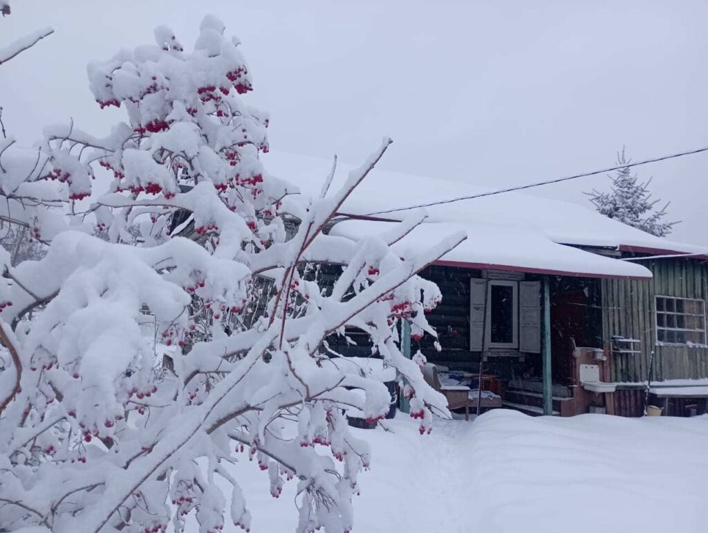 Благовещенск