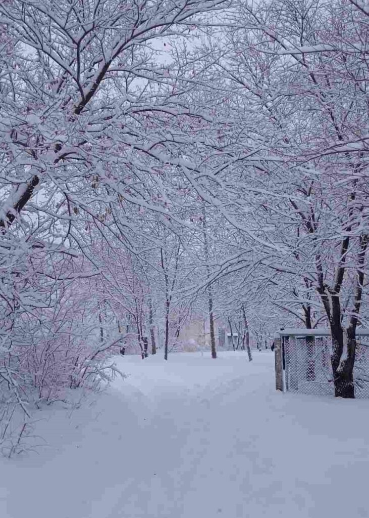 Благовещенск