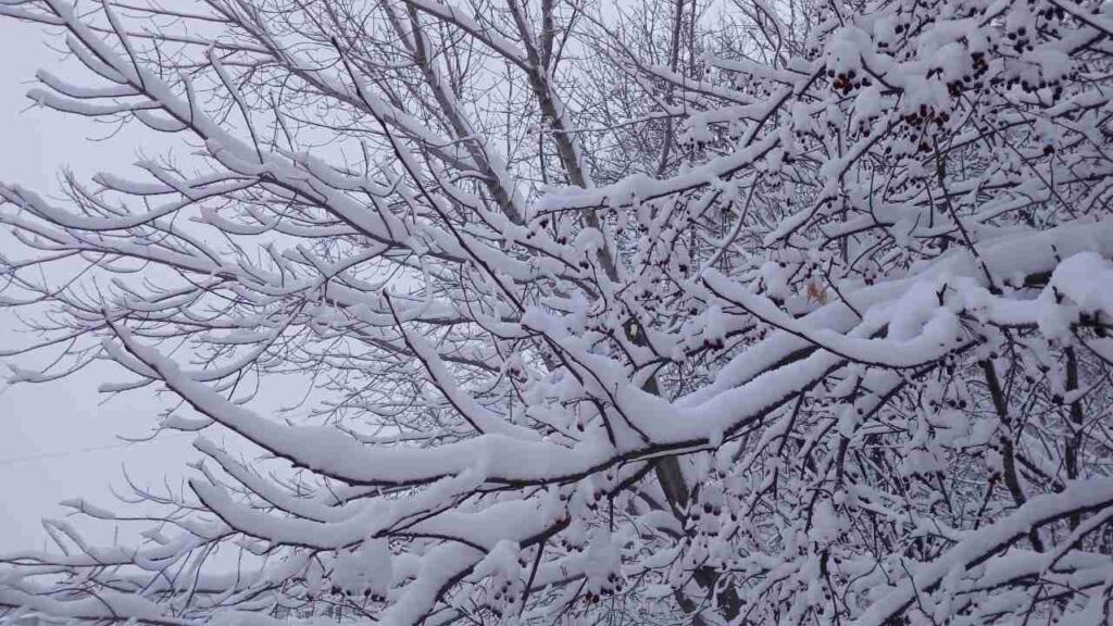 Благовещенск