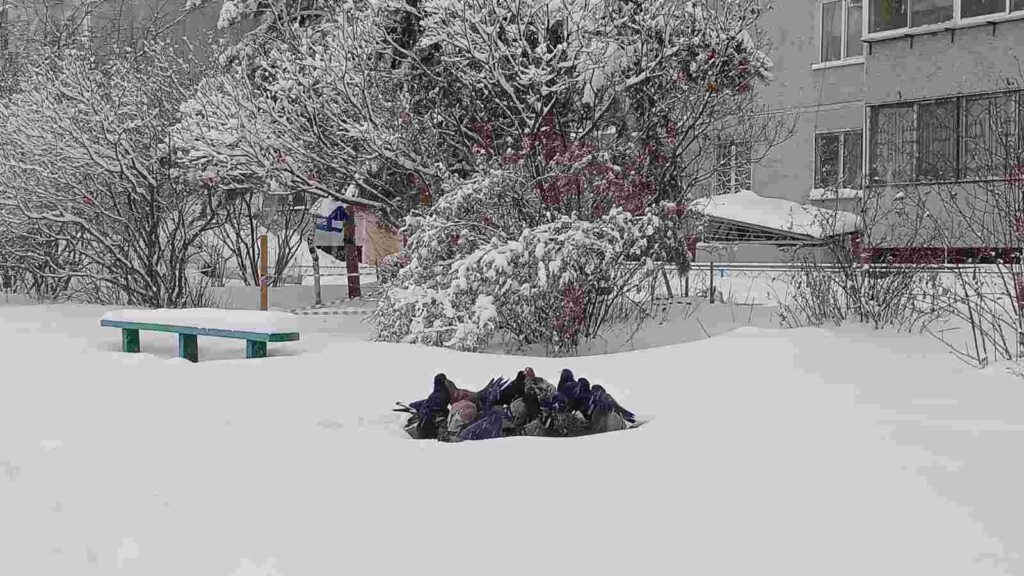 Благовещенск