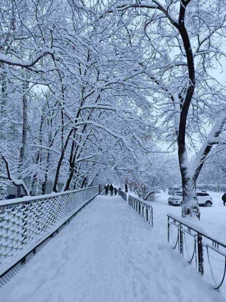 Благовещенск