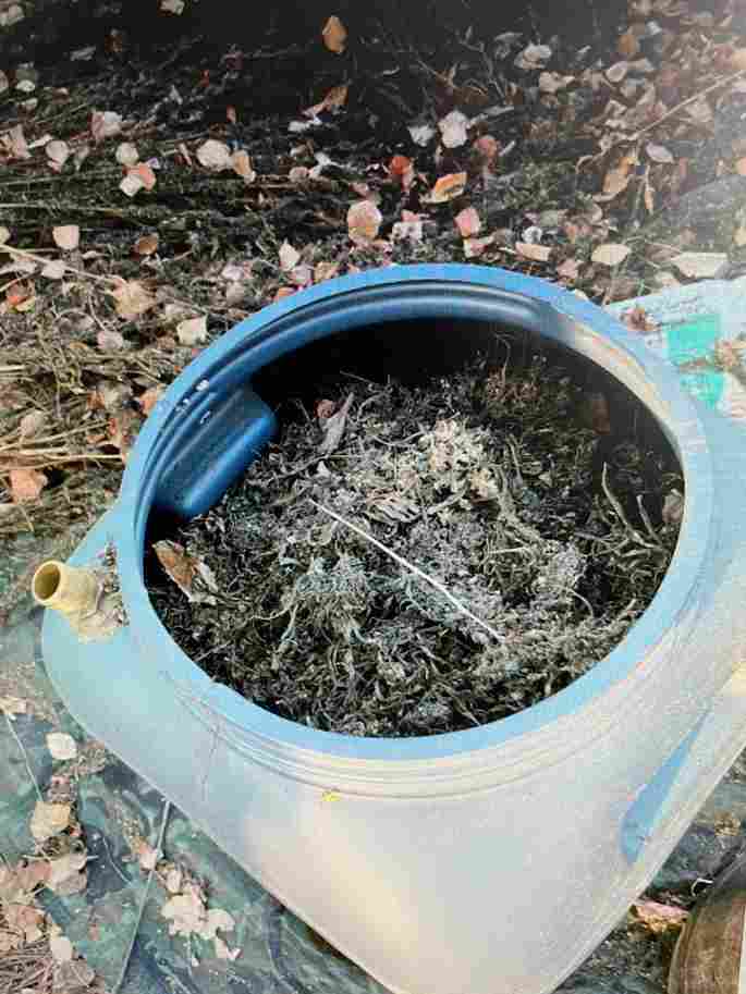 наркотики, лес