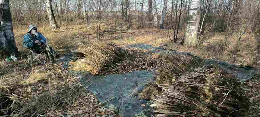 наркотики, лес, Белогорский округ