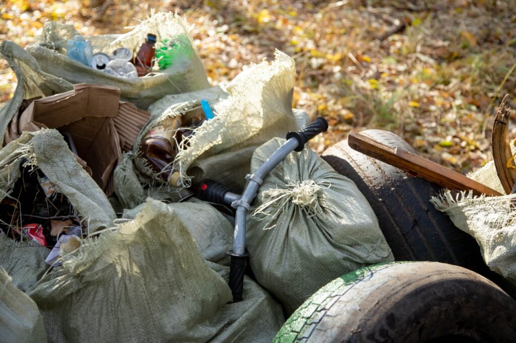 Город берегу