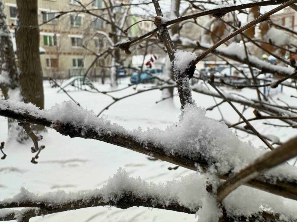 Благовещенск