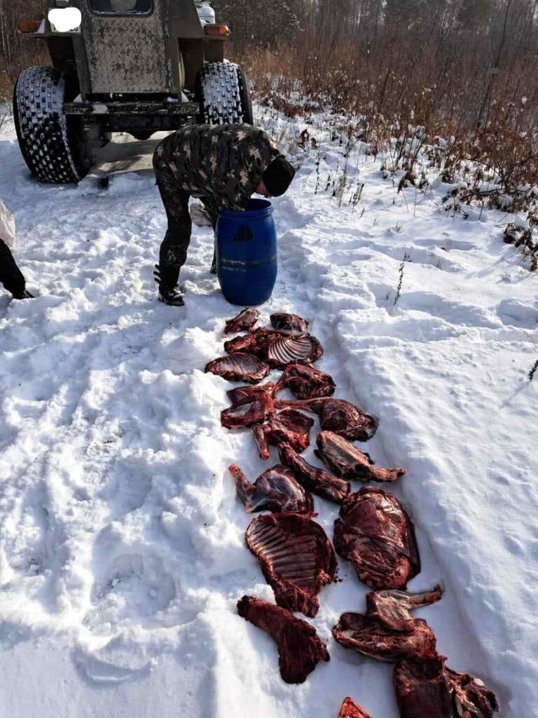 Браконьеры