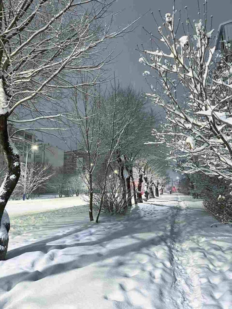 Благовещенск